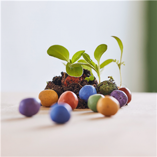 Bunte Blumenmurmel im Papierträger