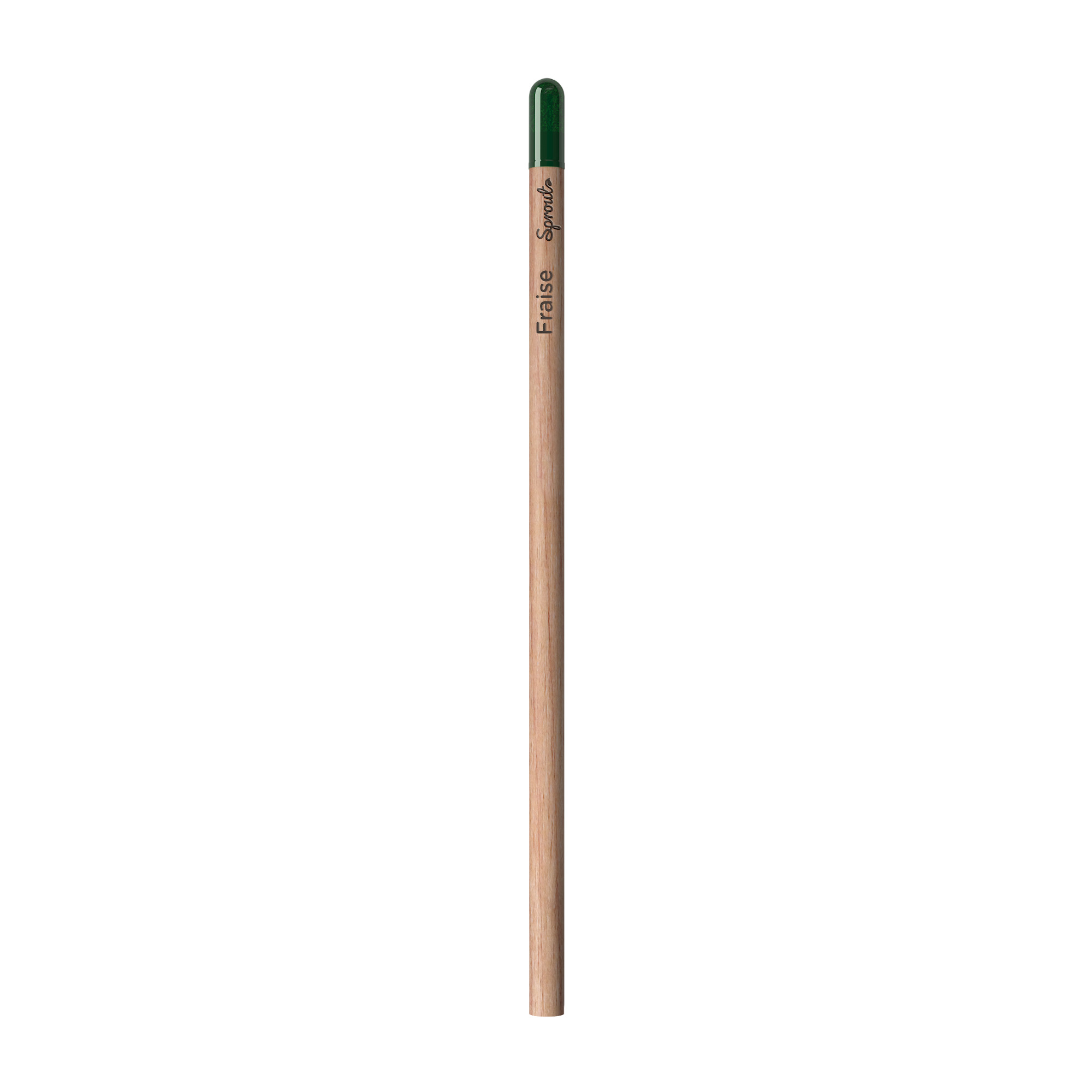 Sprout | Pencil
